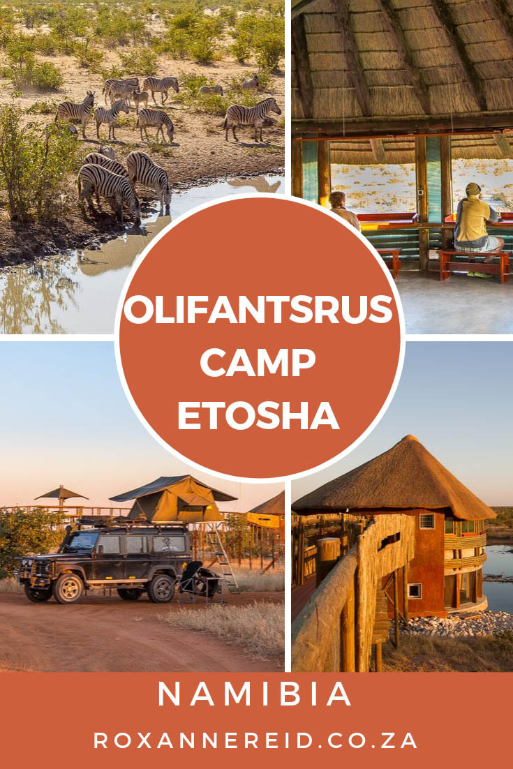 Experience camping in the western section of Etosha National Park by staying at Olifantsrus Camp, Etosha, Namibia #travel #Namibia #camping #OlifantsrusCampsite #campingNamibia #Etoshacamping #bestcampsitesinNamibia