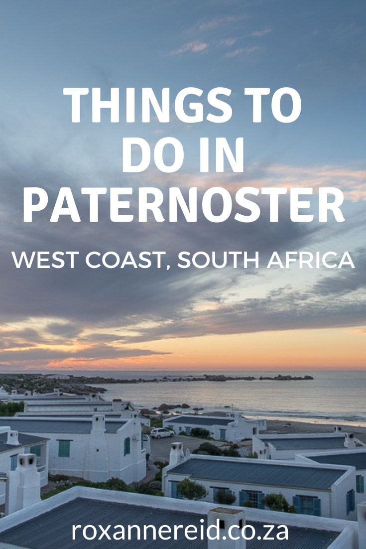 Visiting the West Coast and looking for things to do in Paternoster? Find out more about this little fishing village, getting there, best time to visit, Paternoster accommodation, self catering accommodation in Paternoster, Paternoster restaurants and other things to do like visit Cape Columbine reserve and Cape Columbine lighthouse, see the spring flowers, go kayaking, e-biking and horse riding. Visit art galleries, taste wines, and visit an artisanal brewery.