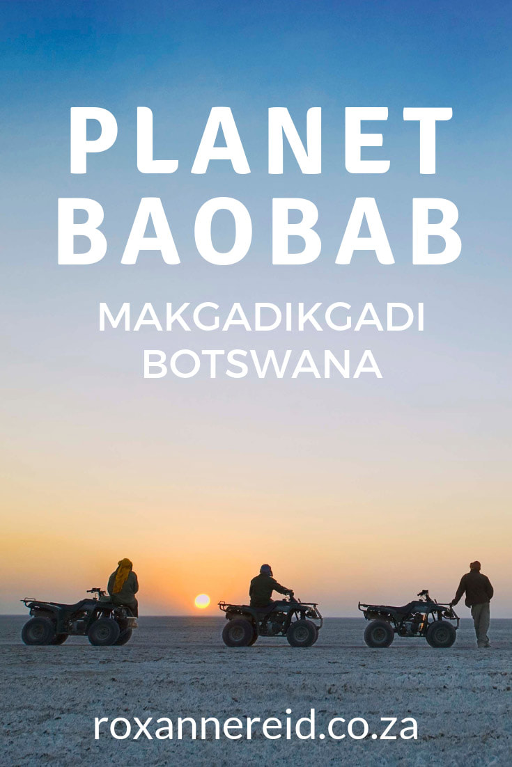 Want to experience something different? Visit Planet Baobab camp in the Makgadikgadi pans, Botswana, discover Planet Baobab activities, Botswana lodges and camping in Botswana #Makgadikgadi #Botswana #PlanetBaobab
