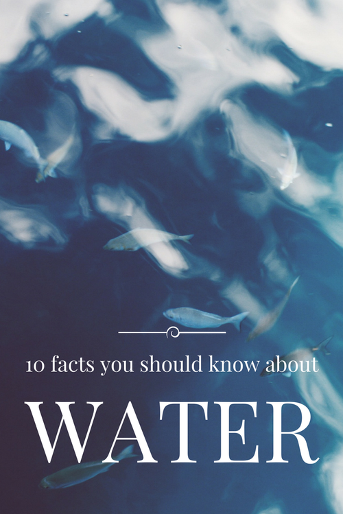 10 facts you should know about water. South Africa, drought, water scarcity, water levels