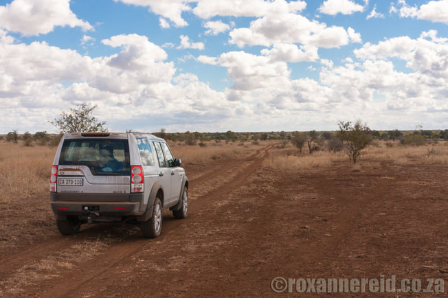 Mananga 4x4 trail, Satar, Kruger National Park