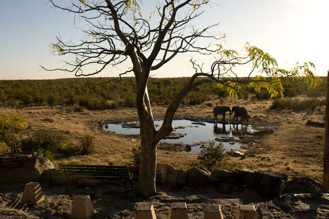 Moringa waterhole, Etosha National Park, Namibia