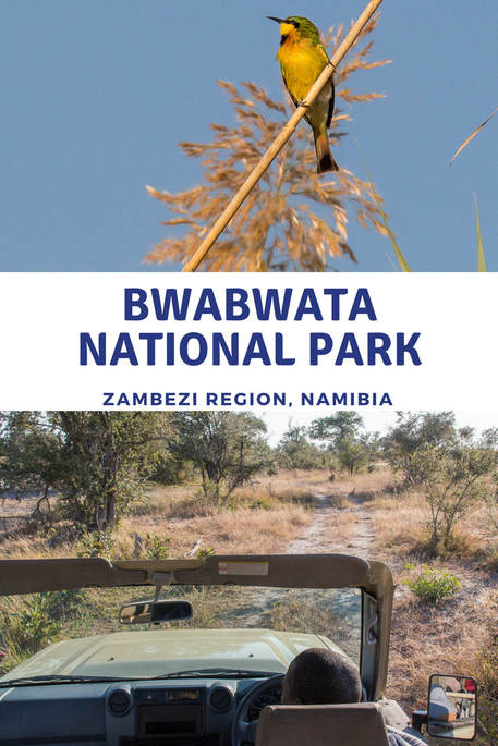 Game drive at Bwabwata National Park, Zambezi, Namibia #Bwabwata #Namibia #Africa #travel