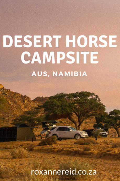 Desert Horse Campsite, Aus, Namibia #Aus #Namibia #wildhorses