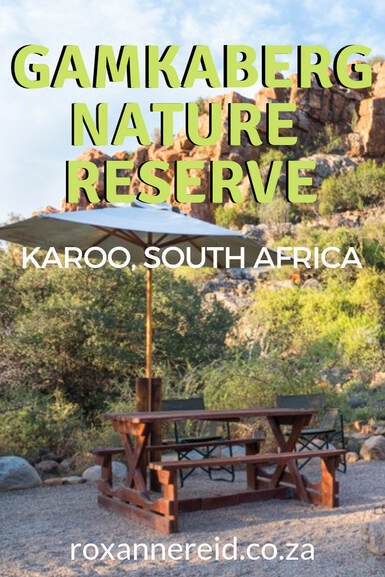 Want to stay at the Gamkaberg Nature Reserve between Oudtshoorn and Calitzdorp in the Karoo, South Africa? Take an inside look at one of the intimate eco-lodges, Fossil Ridge. Gamkaberg accommodation #karoo #Gamkaberg #GamkabergNatureReserve