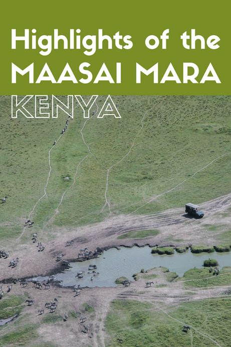 Highlights of Kenya's Maasai Mara nature reserve and conservancies, its wildlife, camps and hot air ballooning