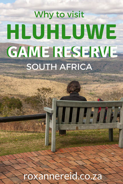 Why to visit Hluhluwe Game Reserve in KwaZulu-Natal, South Africa's oldest game reserve #travel #wildlife #safari #BigFive