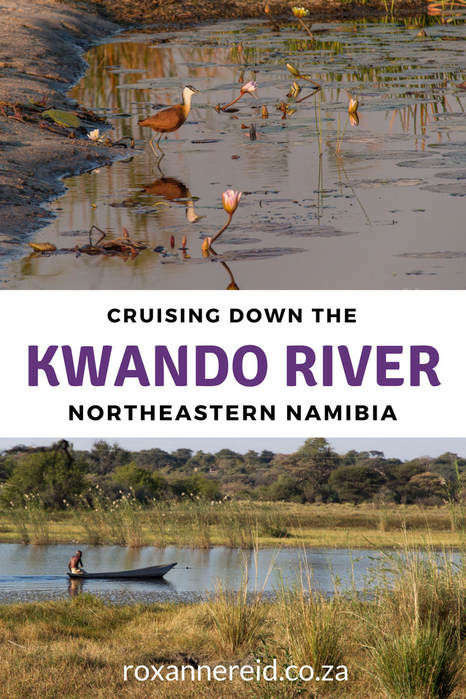 River cruise down the Kwando River, Namibia #Namibia #Africa #travel #Kwando