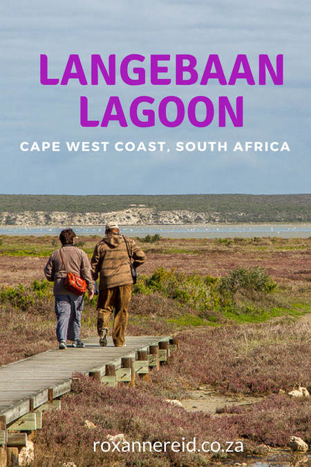 Walking, birds and history at Langebaan Lagoon in the West Coast National Park #SouthAfrica #WestCoast #travel
