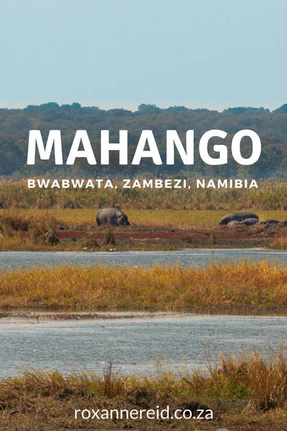 Mahango game area of Bwabwata National Park, Zambezi, Namibia #travel #Africa