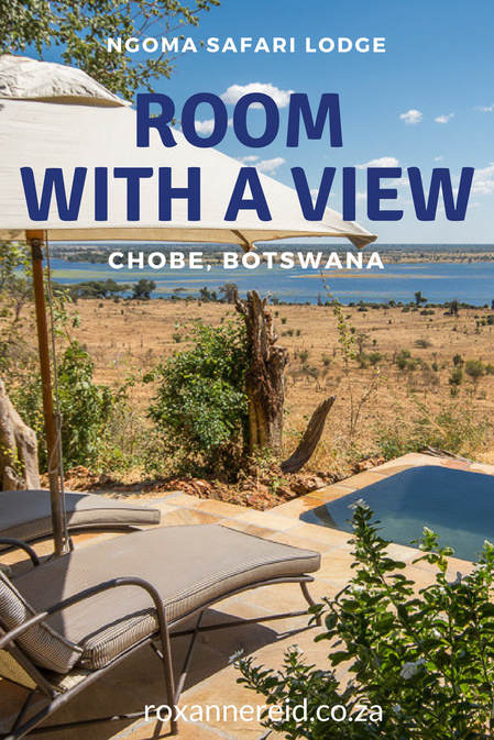 A View to lust after: Ngoma Safari Lodge, Chobe Botswana