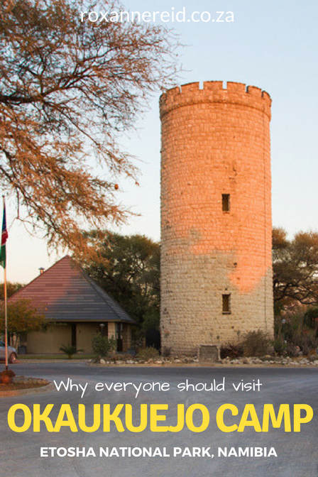 Why to visit Okaukuejo Camp, Etosha National Park, #Namibia #travel #safari