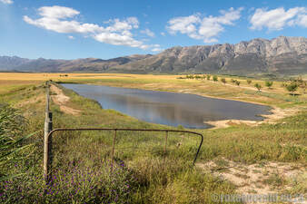 Dam, Eikelaan farmstay, Tulbagh accommodation in the Cape Winelands