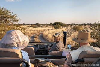 Game drive, Central Kalahari Game Reserve, Botswana