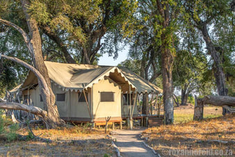 Duba Explorers Camp for an Okavango Delta safari