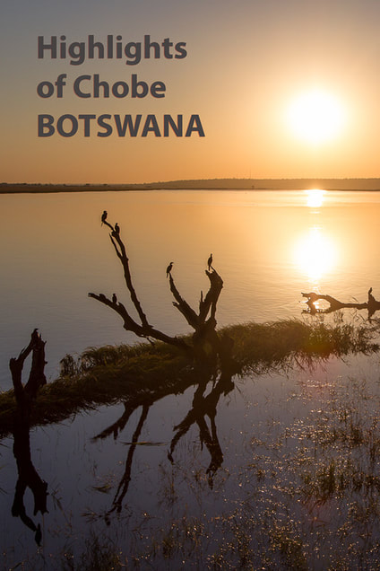 Highlights of Botswana's Chobe National Park #Chhobe #Botswana #safari #elephants #travel