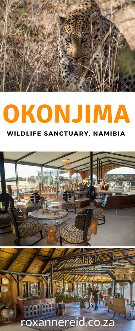 Okonjima Lodge & wildlife sanctuary, Namibia #Okonjima #Namibia
