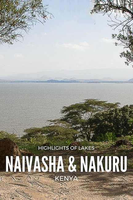 Highlights of Lakes Naivasha and Nakuru in the Great Rift Valley, Kenya