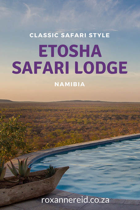 Safari style at Etosha Safari Lodge, Namibia #travel #safari #Namibia #Africa