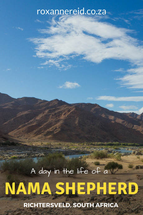 Day in the life of a Nama shepherd of the Richtersveld National Park #SouthAfrica #travel 