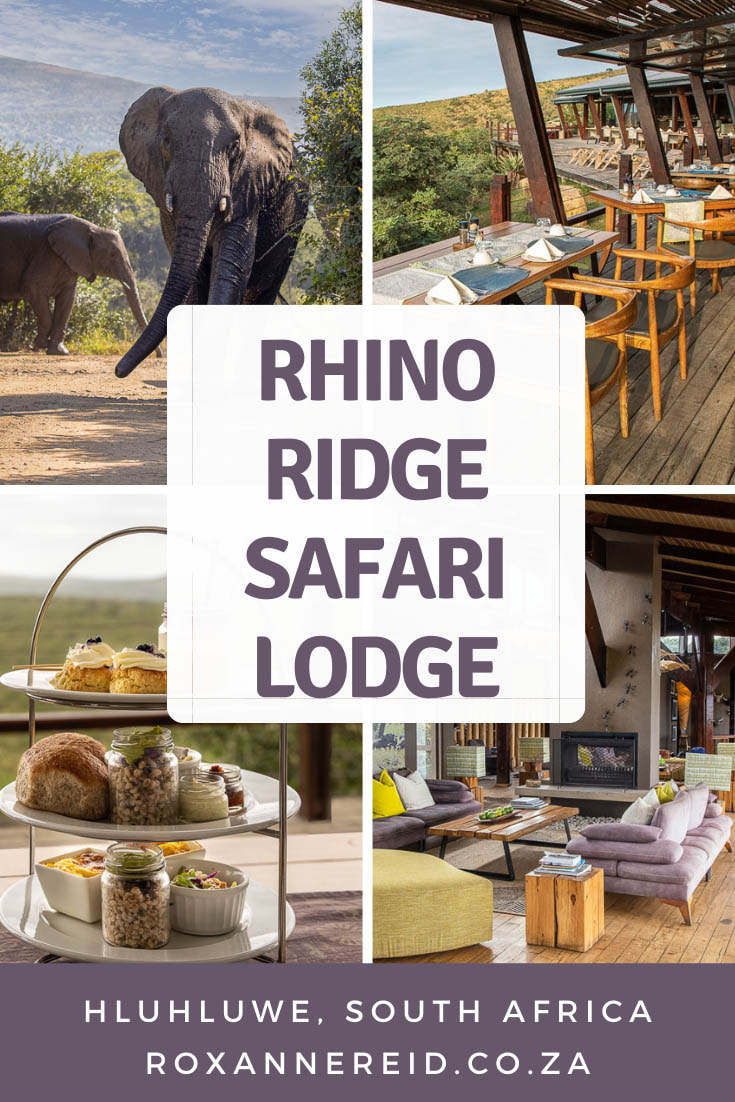 Planning a trip to Hluhluwe-Imfolozi Park in KwaZulu-Natal, South Africa? Find out why to stay at Rhino Ridge Safari Lodge – the best Hluhluwe Game Reserve accommodation. Enjoy guided game drives to see the Big 5 and wild dogs, as well as lots of other wildlife. Admire the hilly landscape. Eat restaurant-quality food. Swim in the rimflow pool. Have a spa massage. Go bird-watching.Do a bush walk in the park or along the gorge. Support responsible tourism.