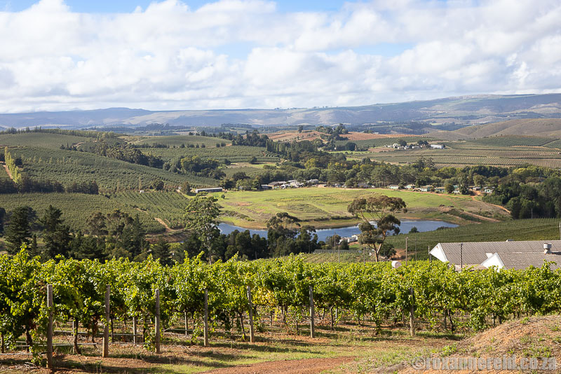 Things to do in Elgin - see green valleys, vineyards and orchards