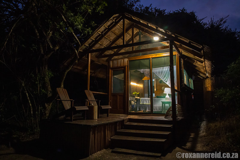 Kosi Bay accommodation - KosiForest Lodge cabin