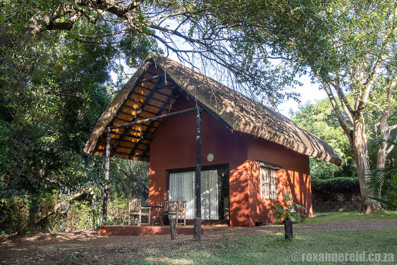 Ndumu River Lodge on the Elephant Coast, KwaZulu-Natal