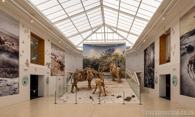 West Coast Fossil Park: exhibition hall