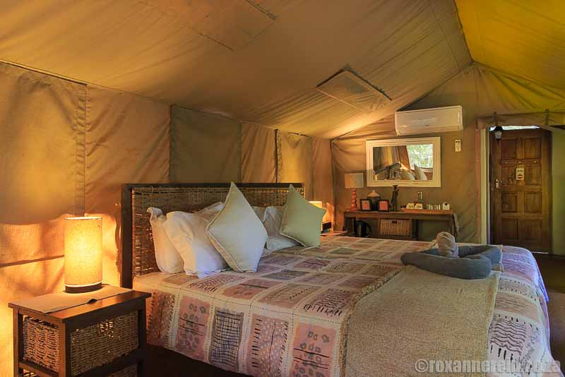 Tent interior at Tembe Elephant Park's lodge