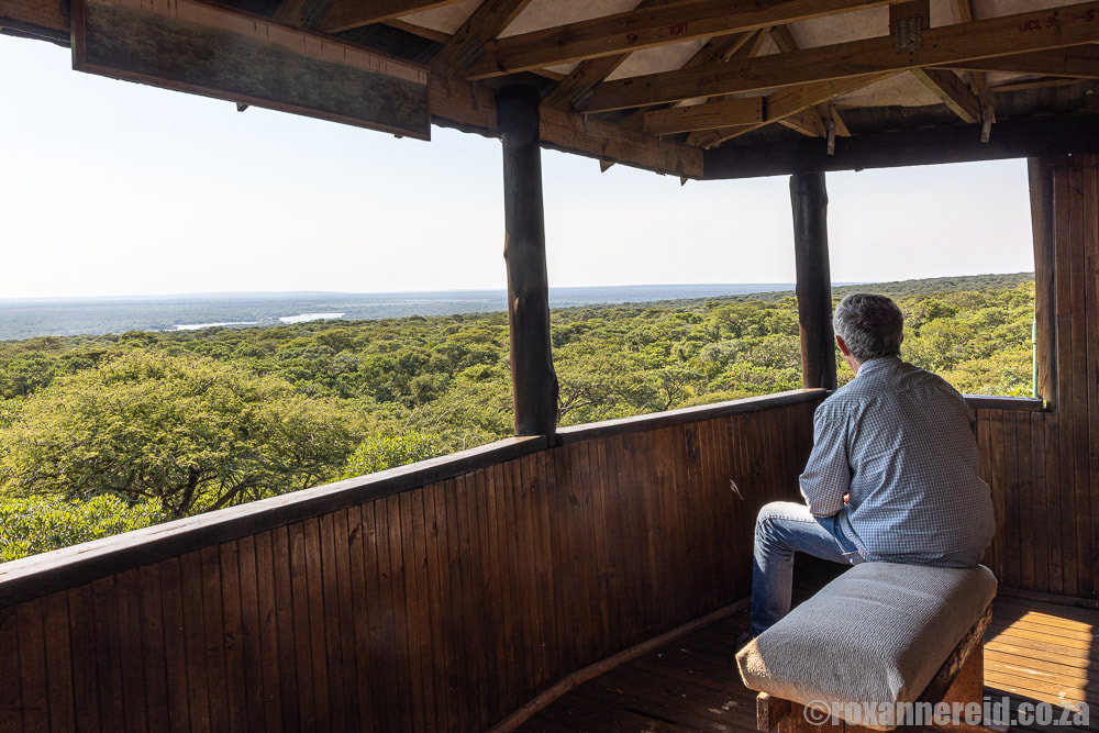 Viewing platform at Ndumo Game Reserve, KwaZulu-Natal