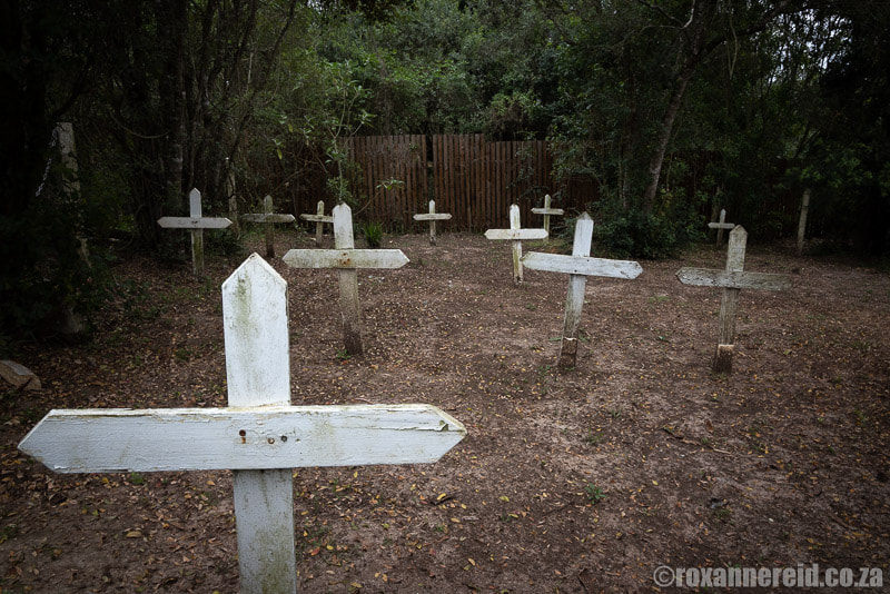 Woodcutters' graveyard on the forest edge, Knysna