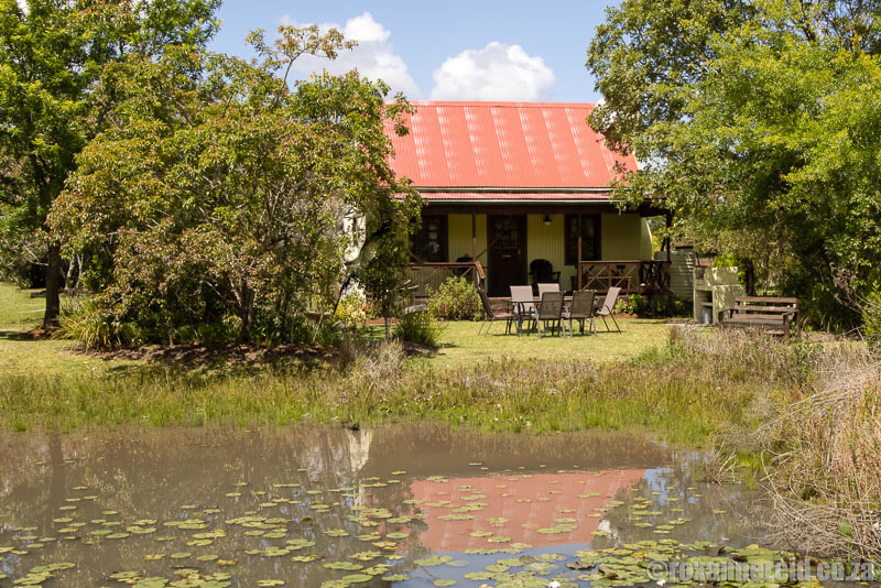 Forest Edge self-catering accommodation in Knysna on the Garden Route - a nature lovers' retreat