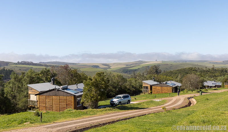 Self-catering accommodation at Grootvadersbosch Nature Reserve