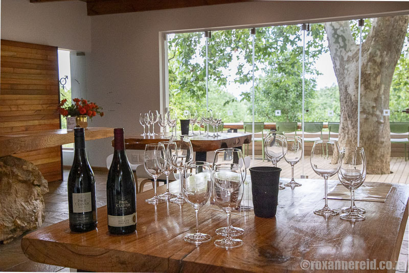 Wine tasting at Elgin wine farms - Paul Cluver