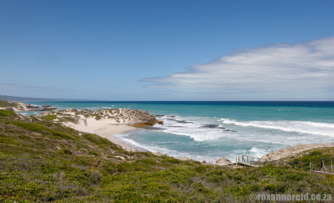 What to do near Malgas: visit the De Hoop Nature Reserve