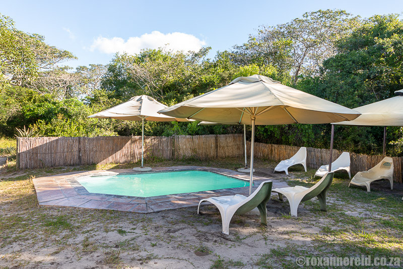 Swimming pool at Tembe Elephant Park