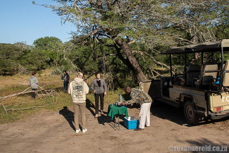 Coffee break on a guided drive at Tembe