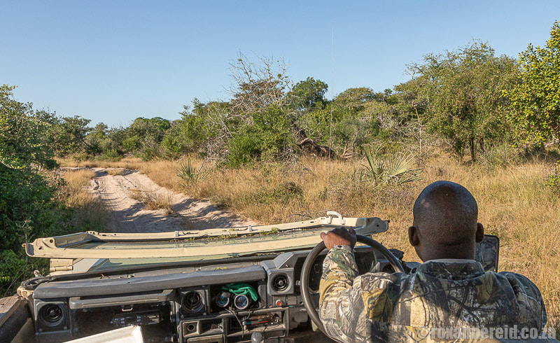 Guided drives at Tembe Elephant Park in northern KwaZulu-Natal