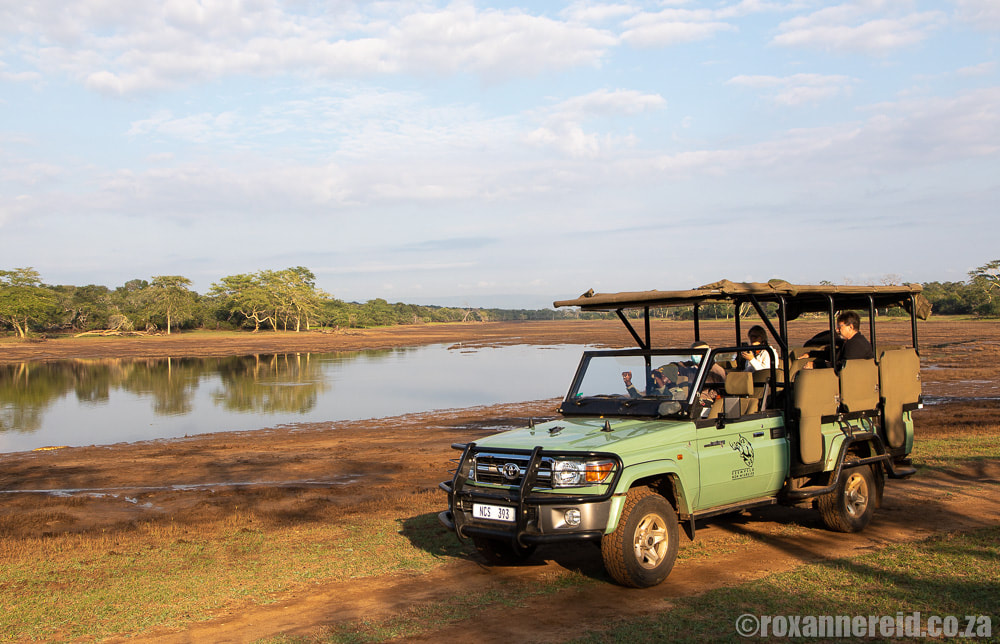 Things to do at Ndumo Game Reserve: guided game drive