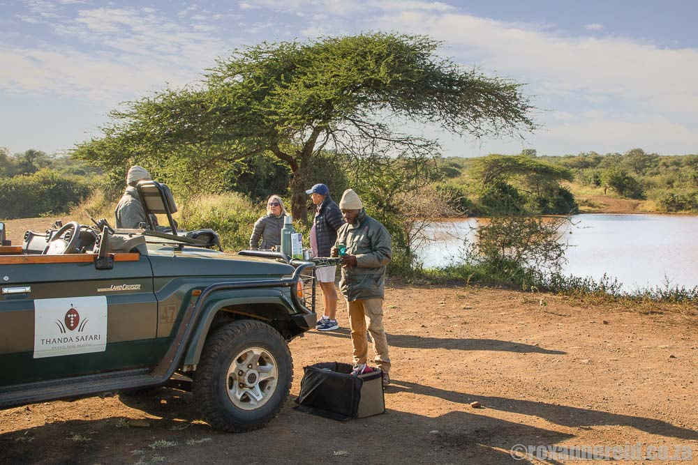 Thanda Safari for an African Big Five experience