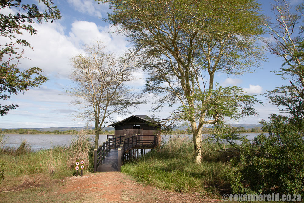 Bird hide at Nsumo Pan, Mkhuze Game Reserve