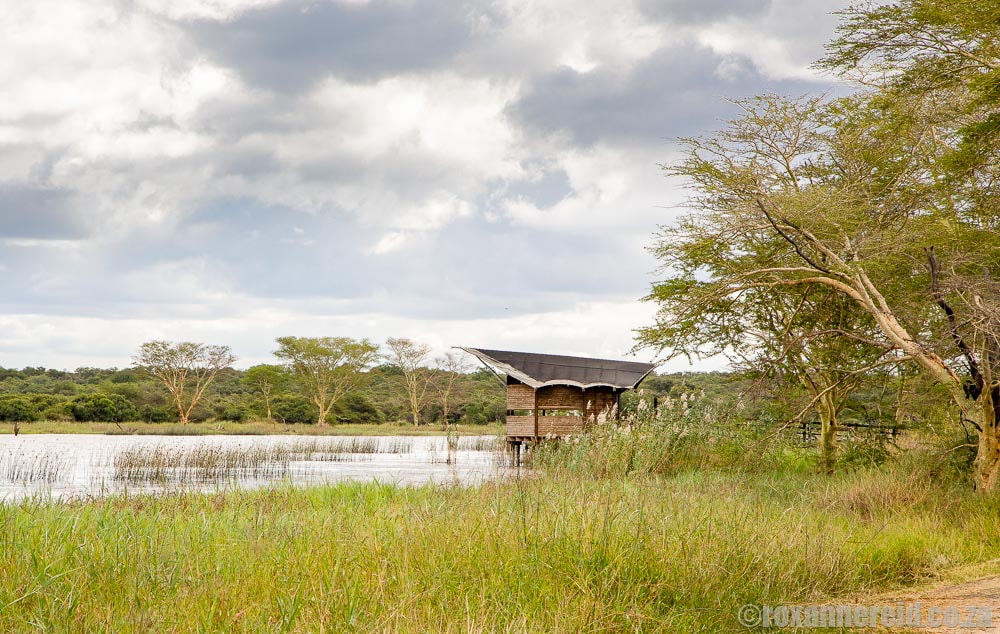 Hide overlooking Nsumo Pan at uMkhuze Game Reserve