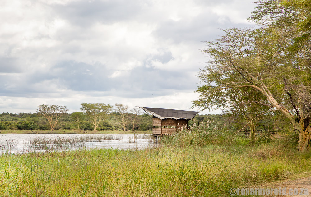Mkhuze Game Reserve: bird hide on Nsumo Pan