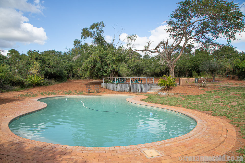 Mantuma camp's swimming pool, Mkhuze