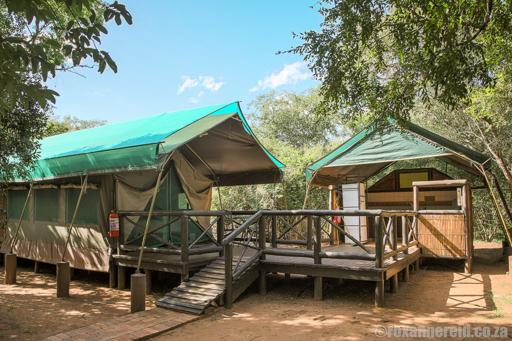 Mkhuze Game Reserve accommodation: Mantuma safari tent