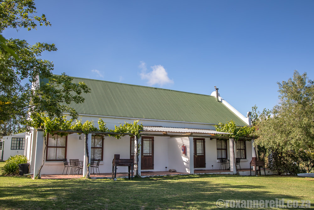 Cottages, Eikelaan farmstay, Tulbagh accommodation in the Cape Winelands