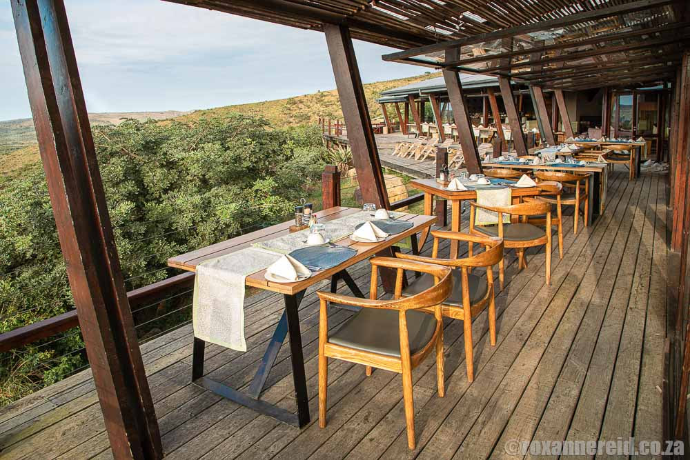 Rhino Ridge Safari Lodge: Hluhluwe game reserve accommodation