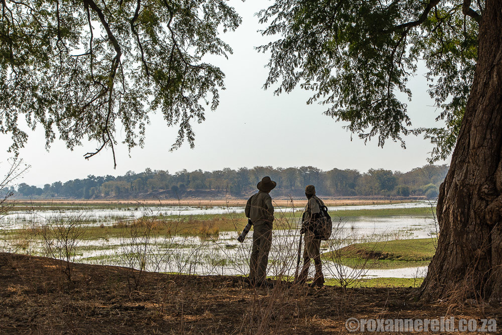 Wilderness on the Greater Mana Expedition at Sapi and Mana Pools Zimbabwe