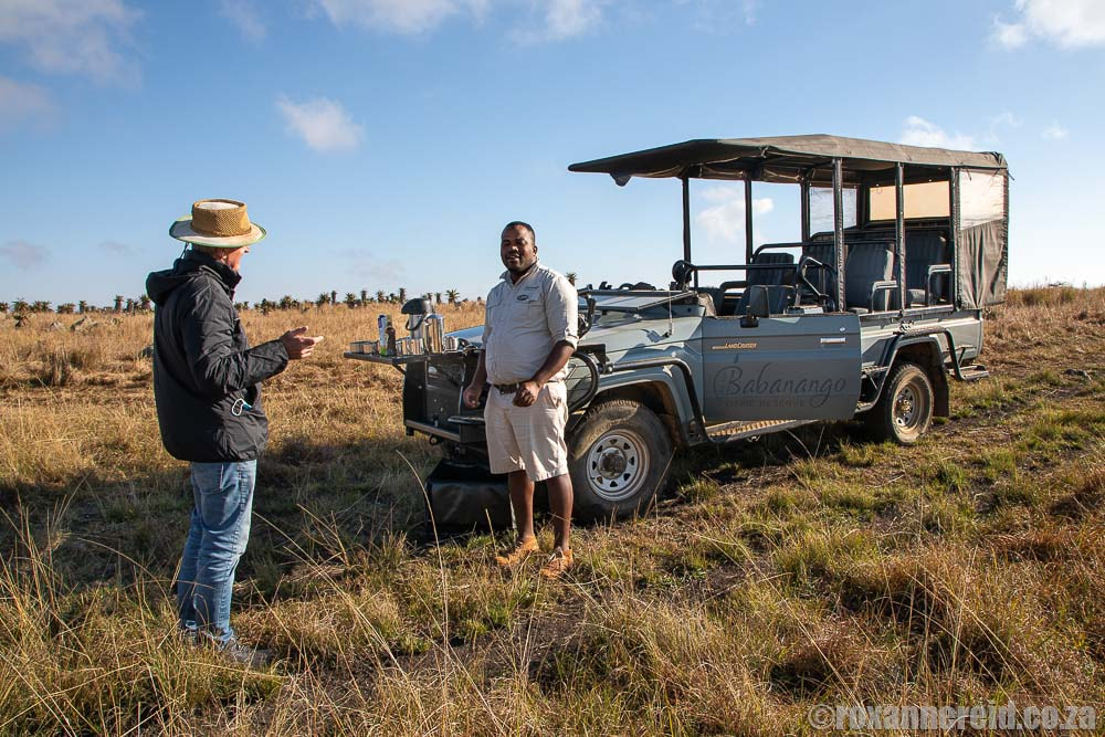 Game drive to see wildlife, landscapes and aloes at Babanango Game Reserve